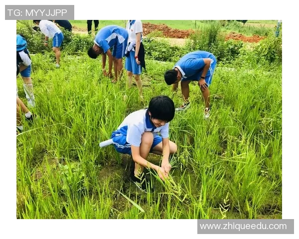 深度对话：黄伟如何在DOTA2的世界中追寻梦想与成长